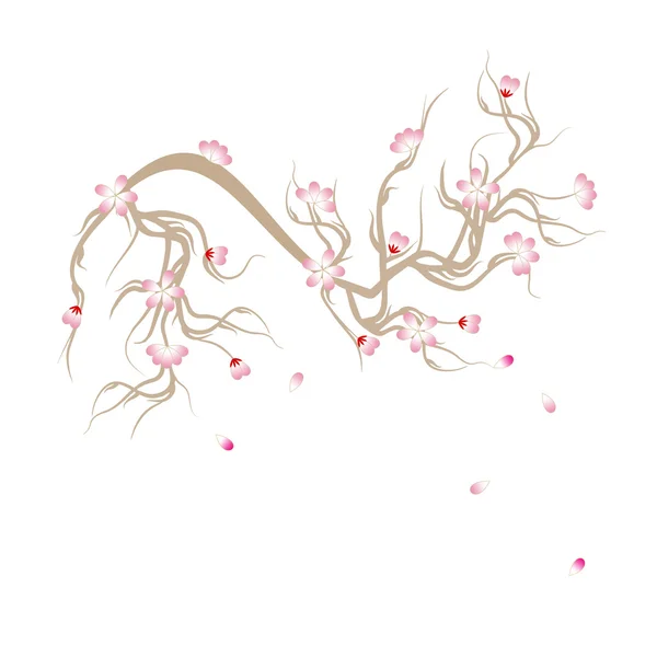 Flor de cerejeira —  Vetores de Stock