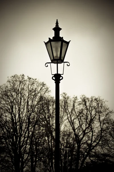 Lanterne de rue ancienne avec des arbres en arrière-plan — Photo