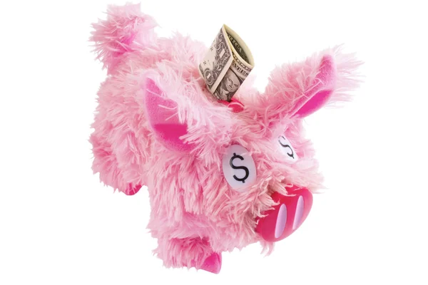 Pink furry piggy bank isolated on white background — Stock Photo, Image