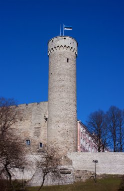 Pikk Herman tower of medieval town Tallinn clipart