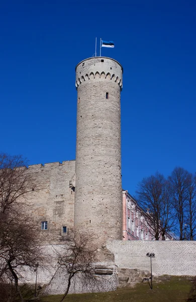 Pikk herman wieży średniowiecznego miasta tallinn — Zdjęcie stockowe