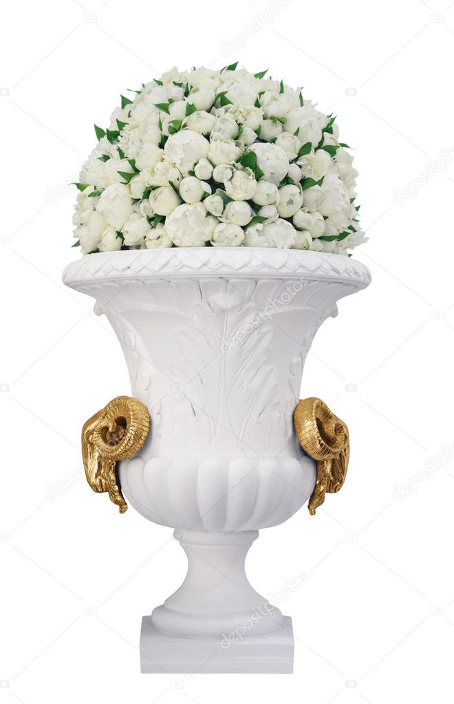 Vase with roses isolated on white background