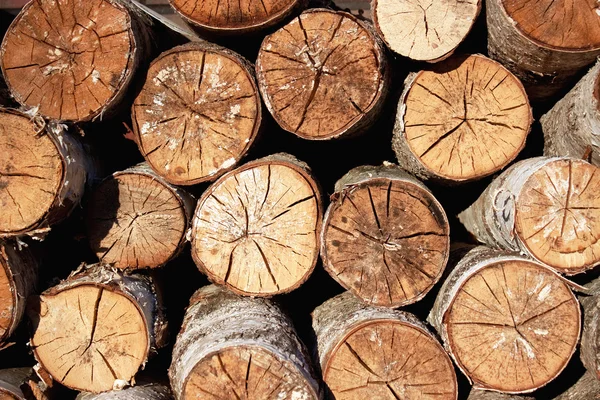 Στοίβα birch ξύλινα κούτσουρα Royalty Free Εικόνες Αρχείου