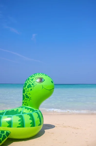 Sea turtle swimming tube on the beach — Stock Photo, Image