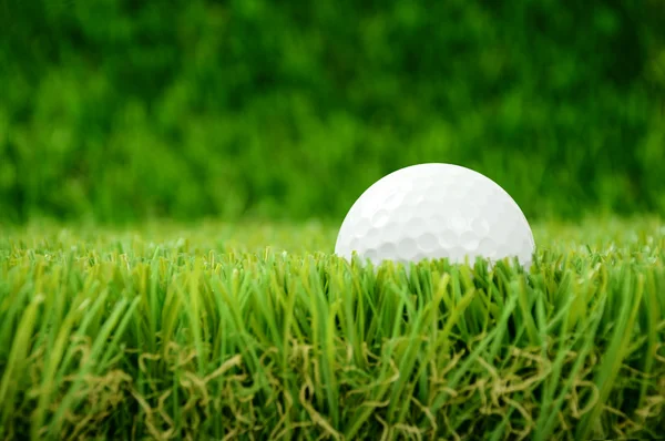 Golf ball in grass Stock Image