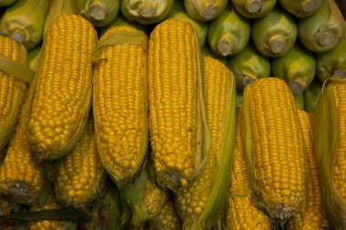 Corncobs in a market in Budapest clipart