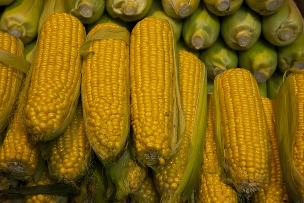 Budapeşte'de bir pazarda corncobs