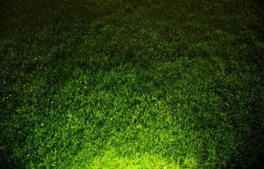 Dark contrasted green grass background clipart