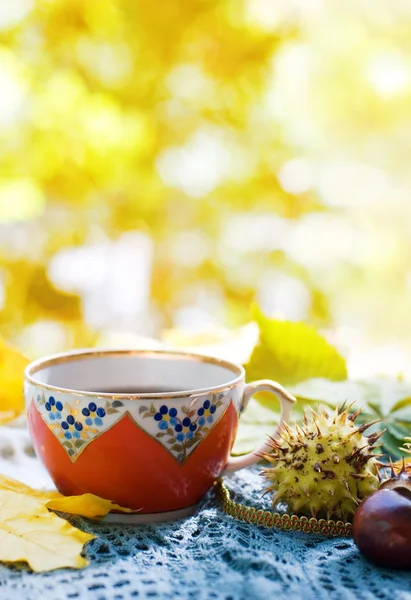Sonbahar çay — Stok fotoğraf