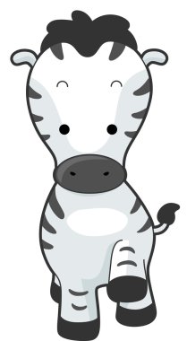 Zebra Front clipart