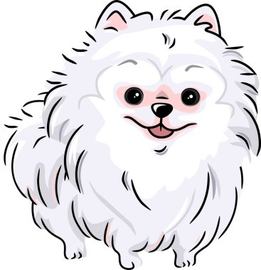 White Pomeranian clipart