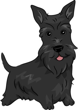 Scottish Terrier clipart