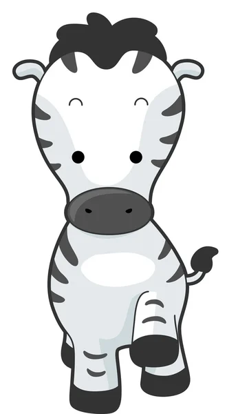 Zebra przód — Zdjęcie stockowe