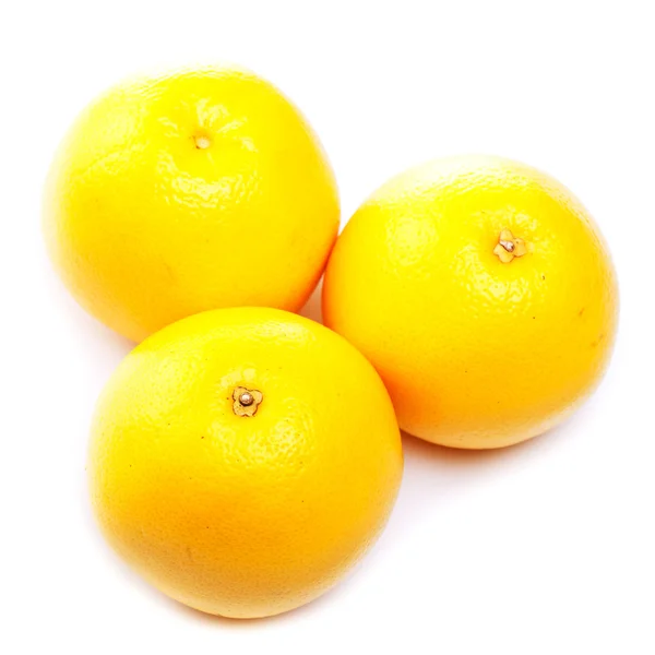 Три белых грейпфрута — стоковое фото