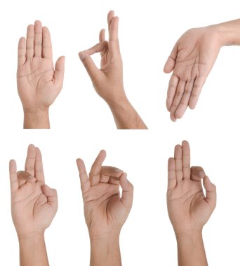 Hand Collage clipart