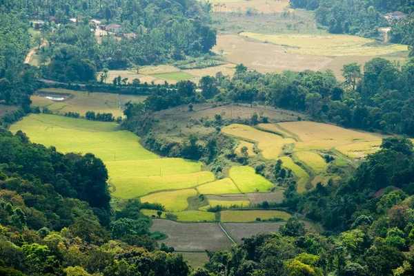 stock image Valley