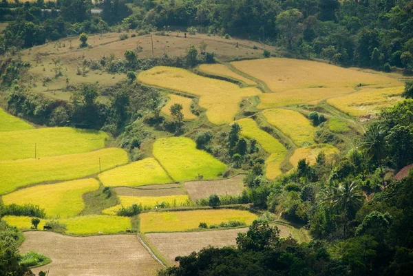 stock image Valley