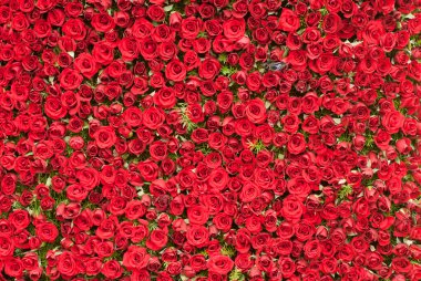 Wall of Roses clipart