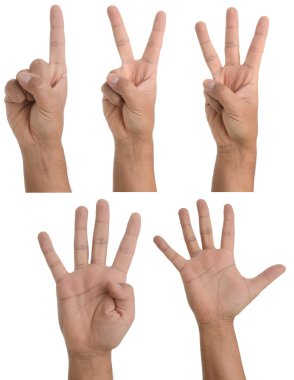 Hand gestures - one to five clipart