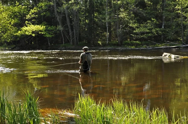 Fisherman in a river — Stock Photo, Image