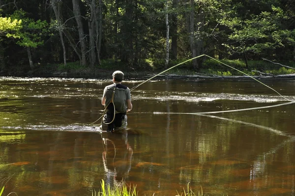 Pescador en un río — Foto de Stock