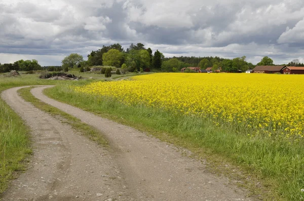 Landscape in sweden — Stock Photo, Image