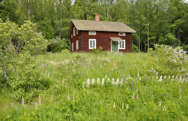 Cottage rurale — Foto Stock