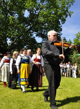 folklor topluluğu, İsveç