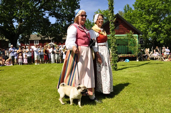Фольклорний ансамбль Швеції — стокове фото