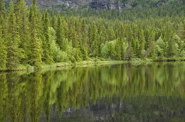 Отражение спокойного озера — стоковое фото