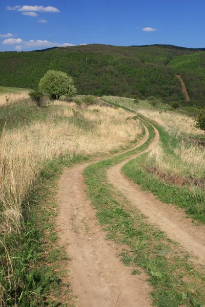 manzara