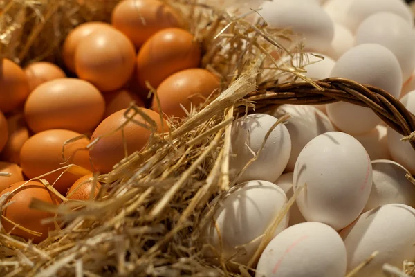 Білі і коричневі яйця — стокове фото