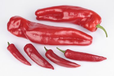 Long red peppers and chillies over white background clipart