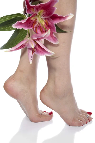 Γυναικεία πόδια με κρίνος flowes πάνω από το λευκό φόντο — Φωτογραφία Αρχείου