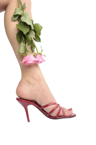 Weibliche Beine und Blumen tragen rote Fersenschuhe über weißem Backgr — Stockfoto