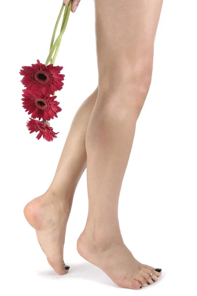 Kvinnliga ben med blommor på vit bakgrund — Stockfoto