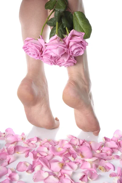 Piedi femminili con petali di rosa su sfondo bianco — Foto Stock
