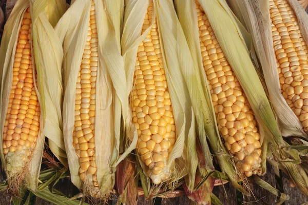 Fresh ripe corn on basket — Stock Photo, Image