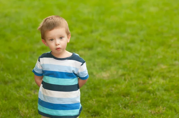 Lindo niño pequeño con mirada sorprendida en su cara de pie en el prado —  Fotos de Stock