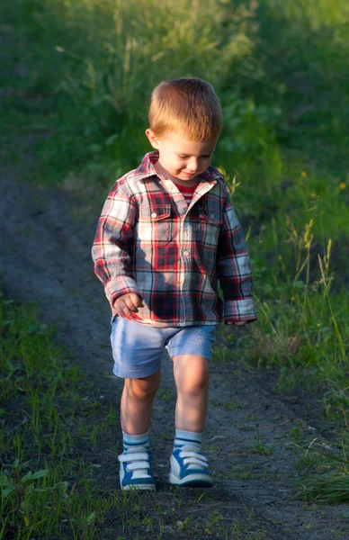 Söt liten pojke går i naturen på solig vårdag — Stockfoto