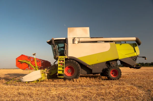 Moderne harvester combineren permanent op het veld op zonnige zomerdag — Stockfoto