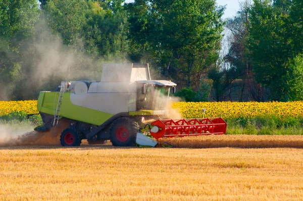 Cosechadora combinar la cosecha de trigo en el soleado día de verano — Foto de Stock
