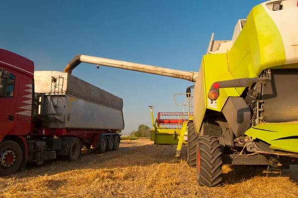 Colheitadeira moderna descarregar grãos no reboque caminhões no dia ensolarado de verão — Fotografia de Stock