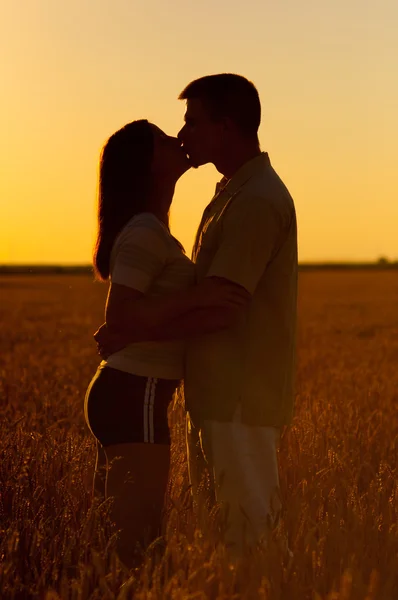 Young couple kissing in the field of wheat on sunny summer day — Stock Photo, Image
