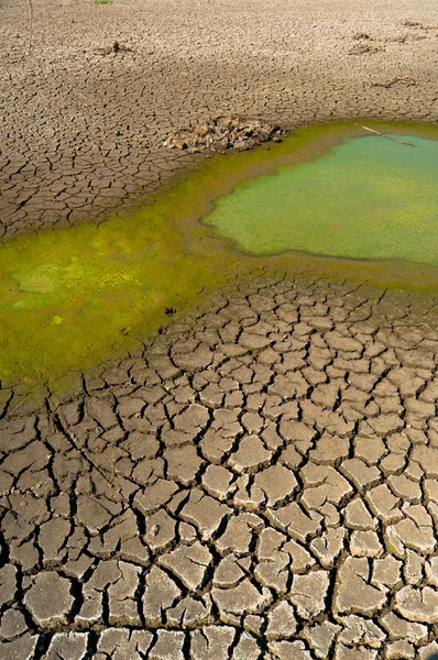 Verschmutztes Wasser und rissiger Boden des ausgetrockneten Sees während der Dürre — Stockfoto