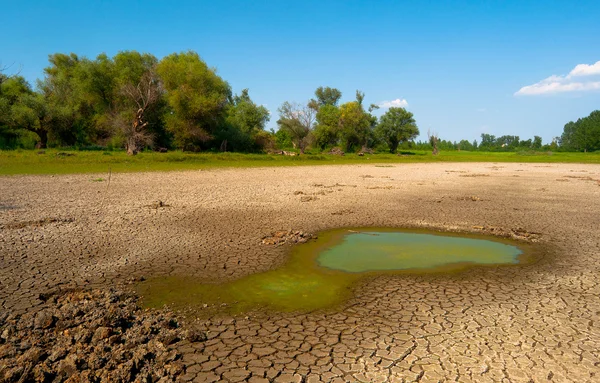 Szennyezett víz és a repedezett a talaj, a kiszáradt tó szárazság — Stock Fotó