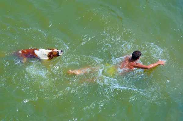 Man simmar med sin hund på solig sommardag — Stockfoto