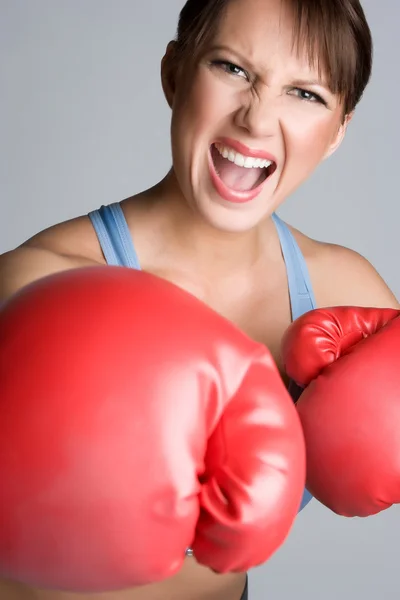 Šílená ženská boxer — Stock fotografie