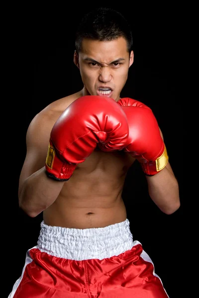 Fiatal bokszoló — Stock Fotó