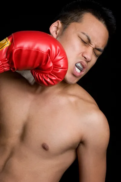 Youn boxare — Stockfoto